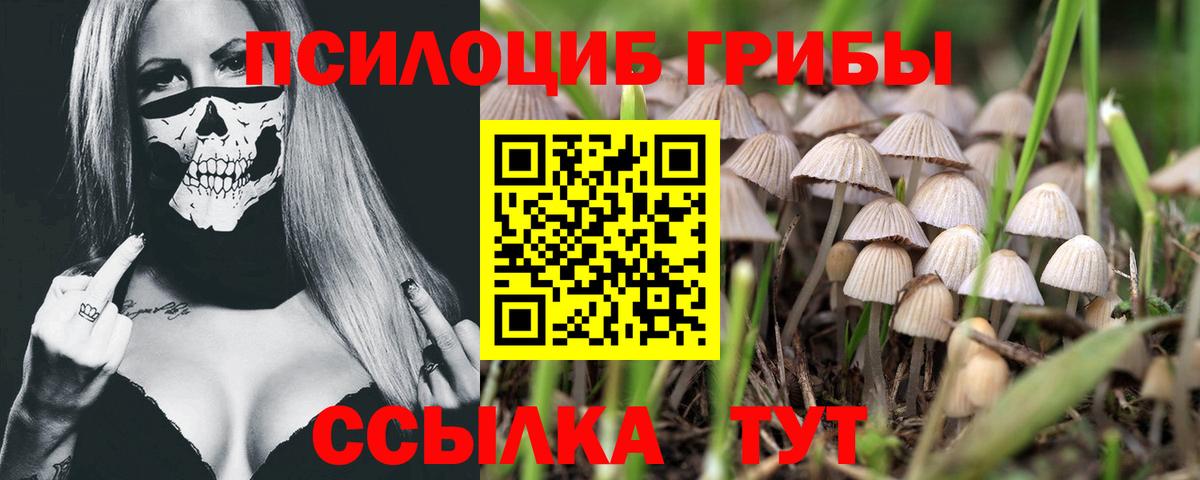 Псилоцибиновые грибы мухоморы Приморско-Ахтарск