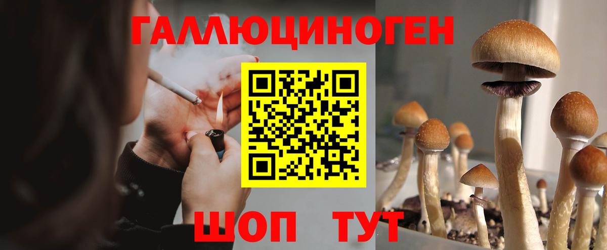 Приморско-Ахтарск  Галлюциногенные грибы Psilocybe  Вход с VPN 