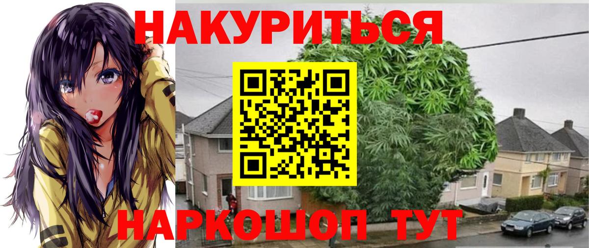 МАРИХУАНА план Приморско-Ахтарск